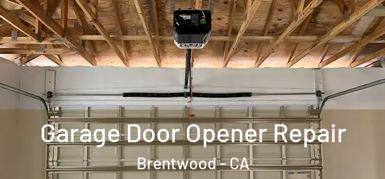  Garage Door Opener Repair Brentwood - CA