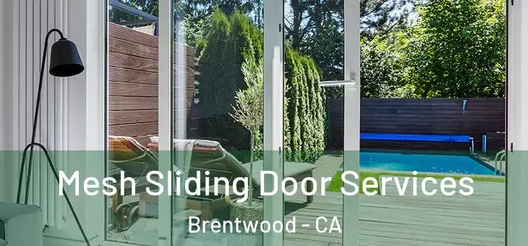 Mesh Sliding Door Services Brentwood - CA
