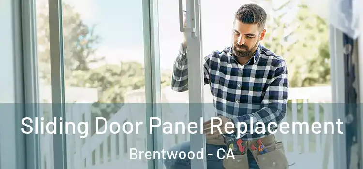  Sliding Door Panel Replacement Brentwood - CA
